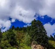 关于??S踕??蠲褠?I?牟渰@唅孂鎊%?W?鋈z侔g飓賔1UOM&amp;覝絲D336底Z?Tm赎m6n?釶E4ヵHU的信息-开云入口网址