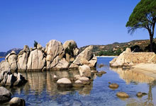 成都蓉城最新动态-开云入口平台